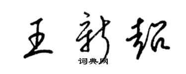 梁锦英王新超草书个性签名怎么写