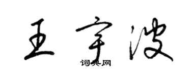 梁锦英王宇波草书个性签名怎么写
