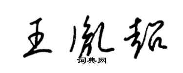 梁锦英王胤超草书个性签名怎么写