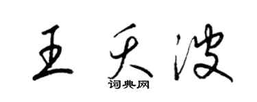 梁锦英王夭波草书个性签名怎么写