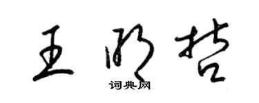 梁锦英王明哲草书个性签名怎么写