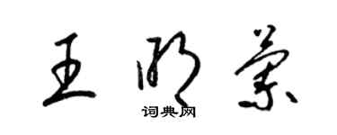 梁锦英王明兰草书个性签名怎么写