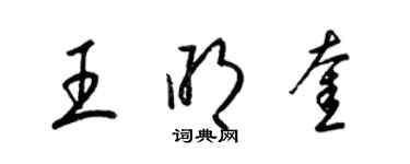 梁锦英王明奎草书个性签名怎么写