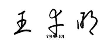 梁锦英王幸明草书个性签名怎么写