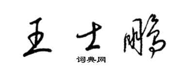 梁锦英王士鹏草书个性签名怎么写