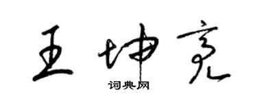 梁锦英王坤亮草书个性签名怎么写