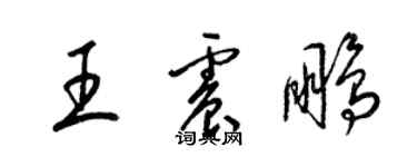 梁锦英王震鹏草书个性签名怎么写