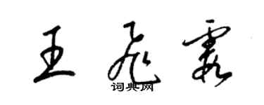 梁锦英王飞霞草书个性签名怎么写
