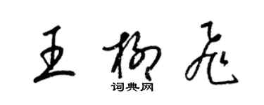 梁锦英王柳飞草书个性签名怎么写