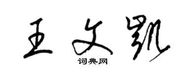 梁锦英王文凯草书个性签名怎么写