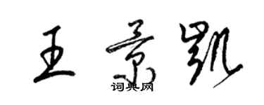 梁锦英王景凯草书个性签名怎么写