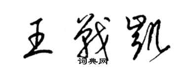 梁锦英王战凯草书个性签名怎么写
