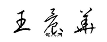 梁锦英王晨华草书个性签名怎么写