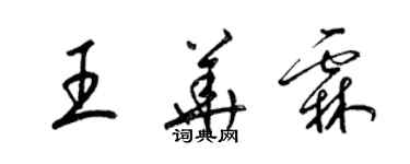 梁锦英王华霖草书个性签名怎么写