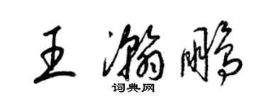 梁锦英王瀚鹏草书个性签名怎么写