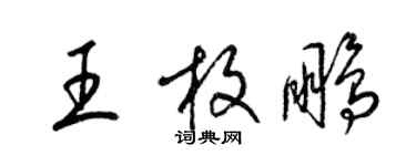 梁锦英王枚鹏草书个性签名怎么写