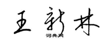 梁锦英王新林草书个性签名怎么写