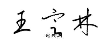 梁锦英王定林草书个性签名怎么写