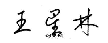 梁锦英王星林草书个性签名怎么写