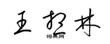 梁锦英王想林草书个性签名怎么写