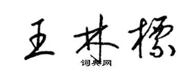 梁锦英王林标草书个性签名怎么写