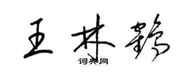 梁锦英王林鹤草书个性签名怎么写