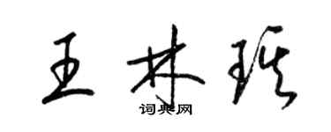梁锦英王林琪草书个性签名怎么写