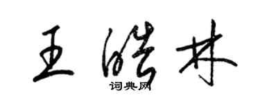 梁锦英王皓林草书个性签名怎么写