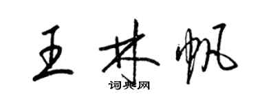 梁锦英王林帆草书个性签名怎么写