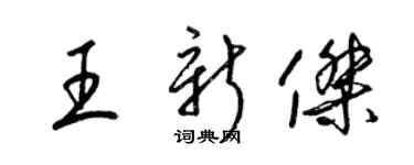 梁锦英王新杰草书个性签名怎么写