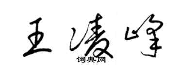 梁锦英王凌峰草书个性签名怎么写