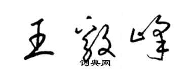 梁锦英王毅峰草书个性签名怎么写