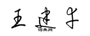 梁锦英王建幸草书个性签名怎么写