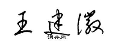 梁锦英王建徽草书个性签名怎么写