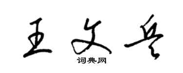 梁锦英王文兵草书个性签名怎么写