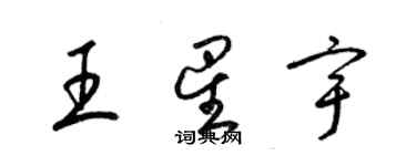 梁锦英王星宇草书个性签名怎么写