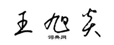 梁锦英王旭炎草书个性签名怎么写