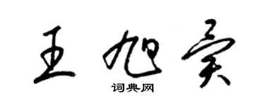 梁锦英王旭异草书个性签名怎么写