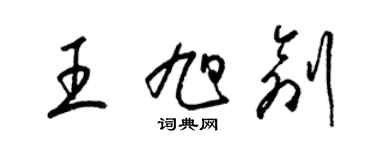 梁锦英王旭创草书个性签名怎么写