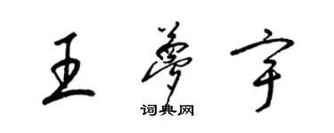 梁锦英王梦宇草书个性签名怎么写