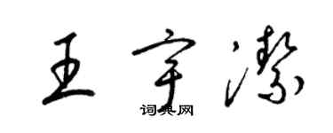 梁锦英王宇洁草书个性签名怎么写
