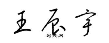 梁锦英王辰宇草书个性签名怎么写