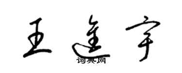 梁锦英王进宇草书个性签名怎么写