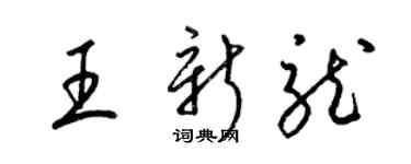 梁锦英王新龙草书个性签名怎么写