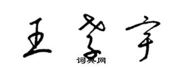 梁锦英王孝宇草书个性签名怎么写