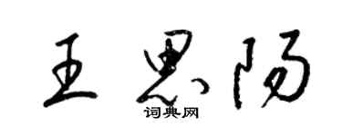 梁锦英王思阳草书个性签名怎么写