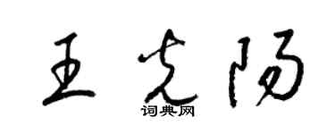 梁锦英王光阳草书个性签名怎么写