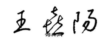 梁锦英王喜阳草书个性签名怎么写