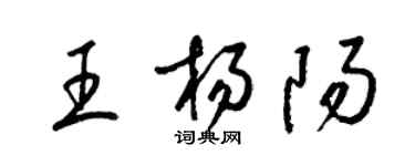 梁锦英王杨阳草书个性签名怎么写