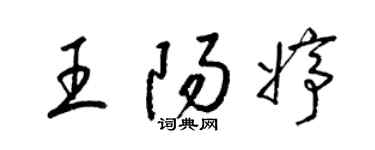 梁锦英王阳婷草书个性签名怎么写